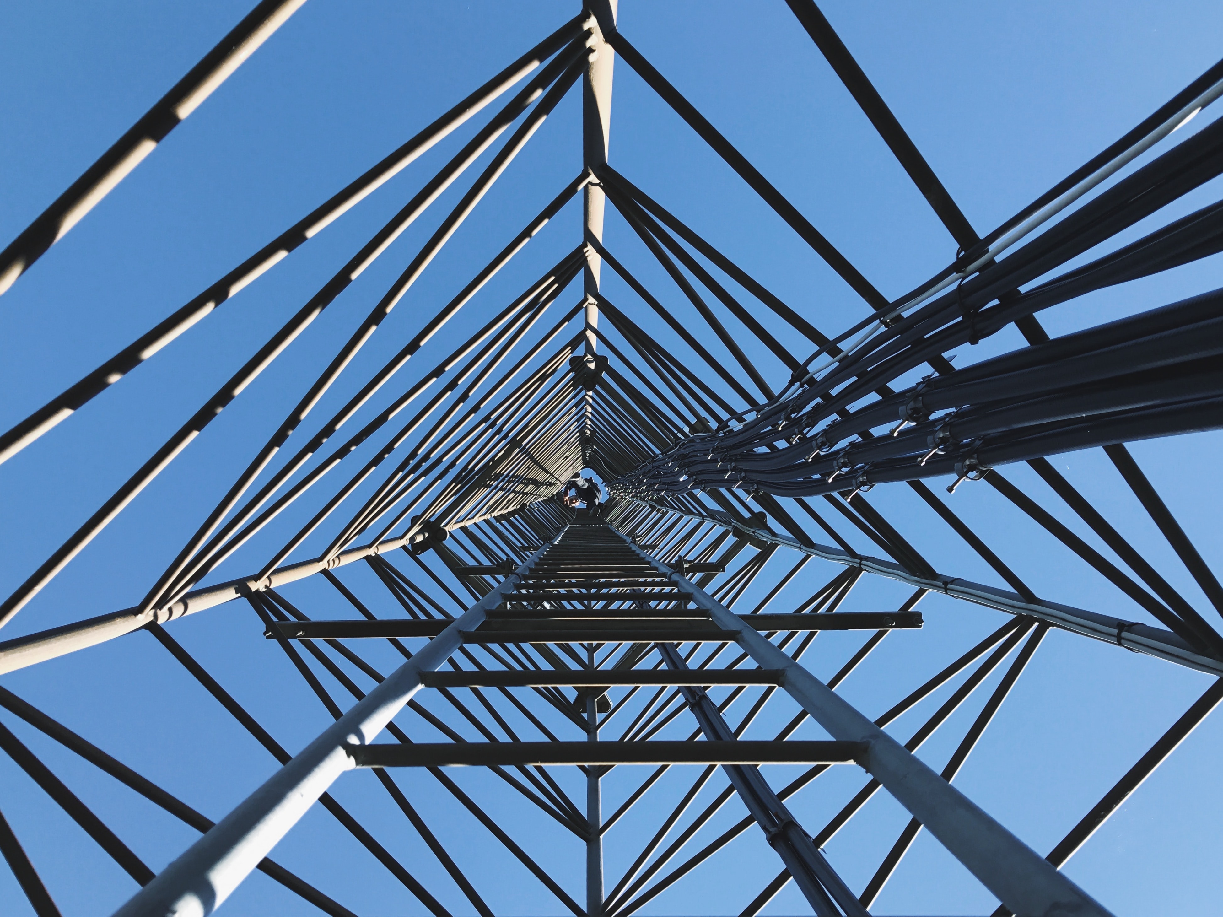 Ladder within a tower